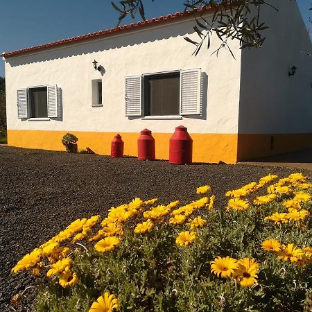 Monte Quinta Verde Ferreira Do Alentejo Exteriör bild
