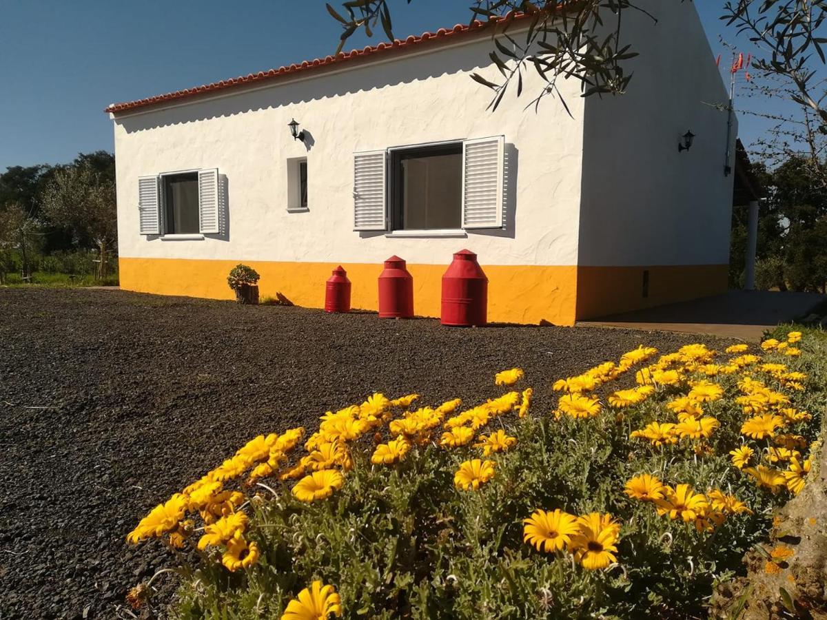 Monte Quinta Verde Ferreira Do Alentejo Exteriör bild